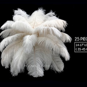 USA Ostrich Plumes, 25 Pieces - 14-17"  Off White Ostrich Bleached Drab Large Body Feathers Centerpiece Carnival Supplier : 4479