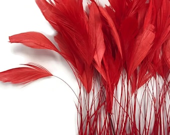 USA SELLER, 1 Dozen - Red Stripped Rooster Coque Tail Eyelash Feathers Millinery Costume Wedding Derby Craft Supply : 318