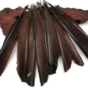Raven Wing Feathers,  1/4 lb - Brown Turkey Pointers Quill Wing Wholesale Feathers (bulk) Halloween Costume Fletching : 3628