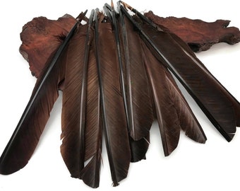 Raven Wing Feathers,  1/4 lb - Brown Turkey Pointers Quill Wing Wholesale Feathers (bulk) Halloween Costume Fletching : 3628