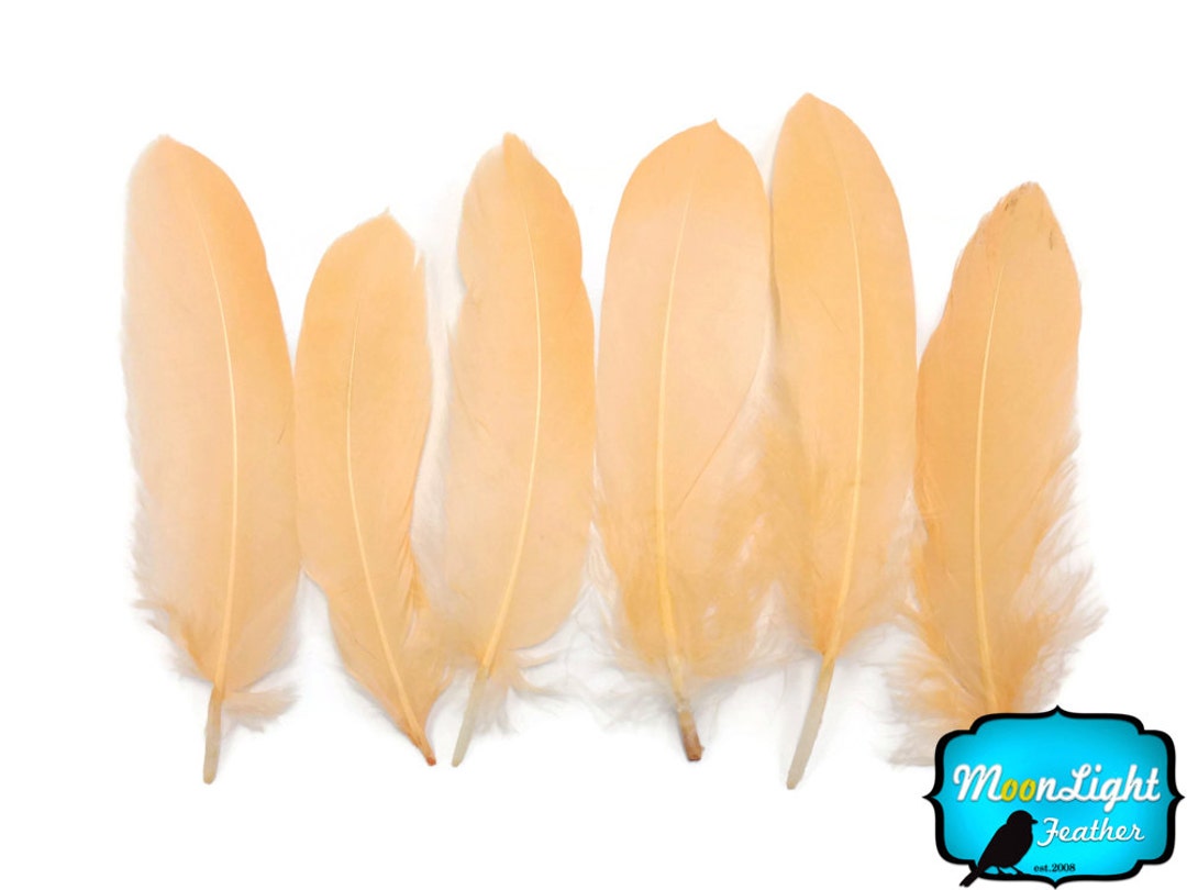 1 Pack - Natural Brown Almond Ringneck Pheasant Plumage Feathers 0.10 Oz.