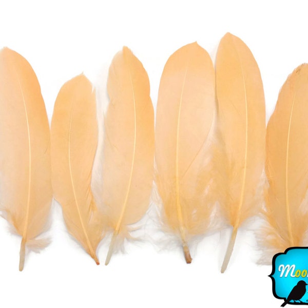 Goose Feathers, 1 Pack - PEACH Goose Satinettes Feathers 0.3 oz. : 3339