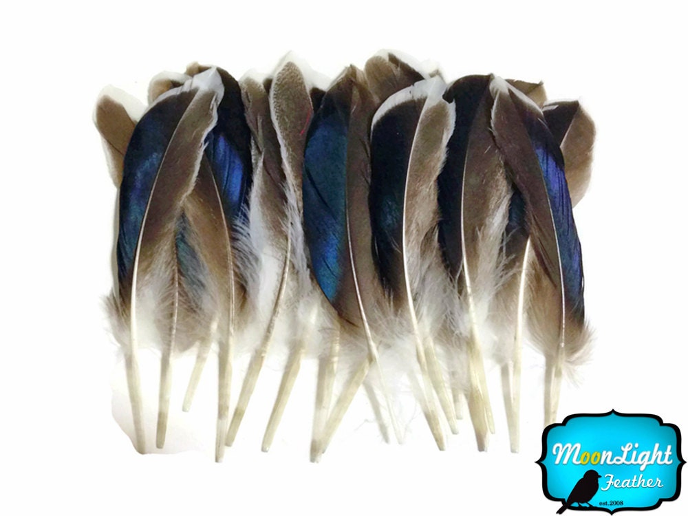 USA Real Feathers, 1 Pack - Iridescent BLUE MIX Mallard Duck Wing fea…