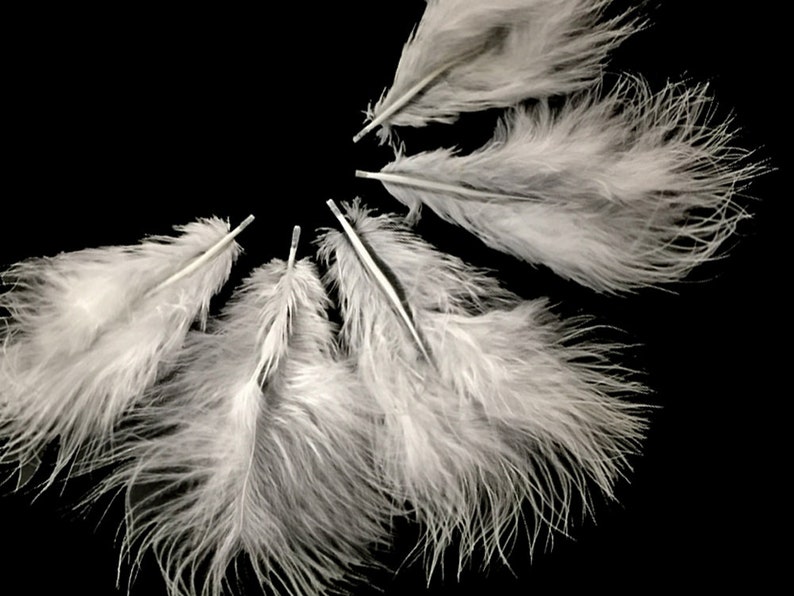 Hot Pink Turkey Marabou Small Short Down Feathers 0.10 oz Costume Fan 1 Pack Hot Pink Turkey Marabou Small Short Down Feathers 0.10 oz Costume Fan 1 Pack