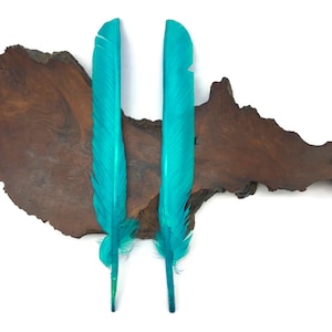 May include: Two teal blue feathers are placed on a piece of brown wood. The wood has a natural, rough texture.