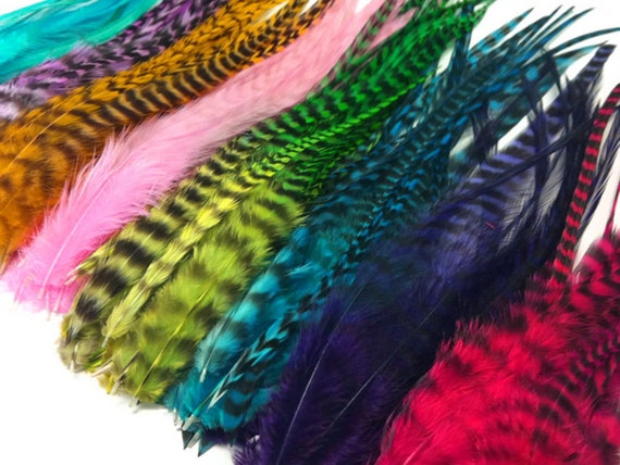Hair Feathers 50 Pieces Colorful Medium Length Rooster Hair Extension Feathers Wholesale 2316 Etsy Canada