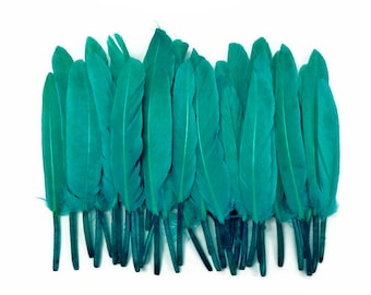 Plumes de canard, 1 paquet - Peacock Green Duck Cochettes Loose Feathers 0.30 oz. Fournitures artisanales : 3146