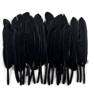 Black Duck Feathers, 1 Pack - Black Duck Cochettes Loose Feathers 0.30 oz. Craft Supply. : 578