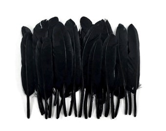 Black Duck Feathers, 1 Pack - Black Duck Cochettes Loose Feathers 0.30 oz. Craft Supply. : 578