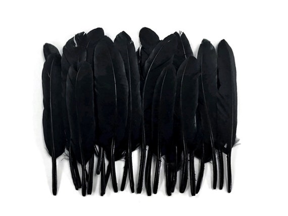 perfectly imperfect black feather