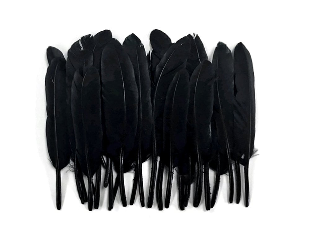 Goose Favion Feathers - Black - Iridescent