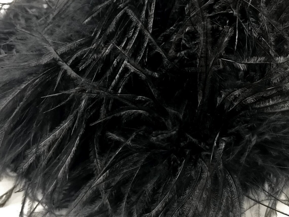 Feather Boa 2 Yards Black 2 Ply Ostrich Feather Medium Etsy