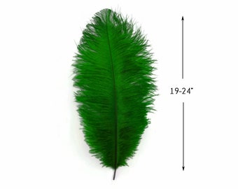 Ostrich Plumes, 10 Pieces - 19 - 24" Kelly Green Ostrich Dyed Drabs Body Feathers Party Centerpiece Costume Supplier : 3754