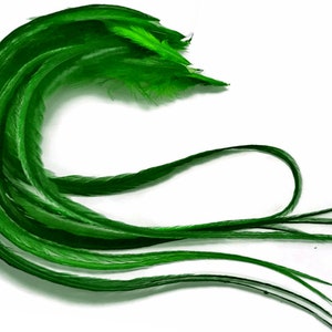6 Pieces - XL Solid Kelly Green  Thick Long Grizzly Whiting Farm Rooster Saddle Hair Extension Feathers Fly Tying Craft Supply : 681
