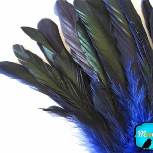 Rooster Feathers, 2.5 Inches NAVY Half Bronze Coque Tail Strung Feathers: 598 image 3