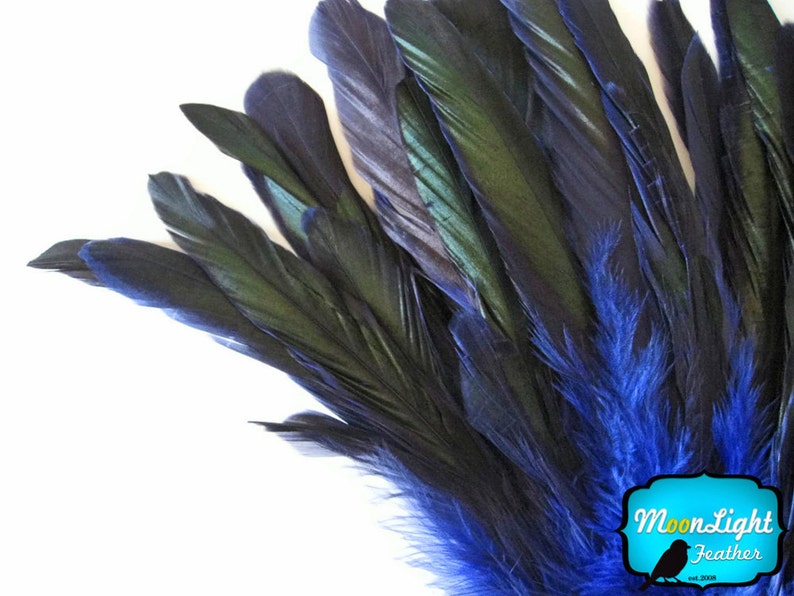 Rooster Feathers, 2.5 Inches NAVY Half Bronze Coque Tail Strung Feathers: 598 image 3