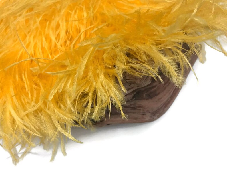 Ostrich Fringe Feathers, 6 Inch Strip Golden Yellow Ostrich Fringe Trim Feather : 3162 image 7