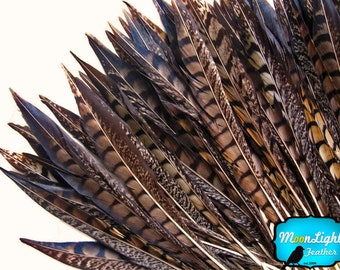 Pheasant Tail Feathers, 50 Pieces - 16-18" NATURAL Lady Amherst Pheasant Tail Feathers : 3554