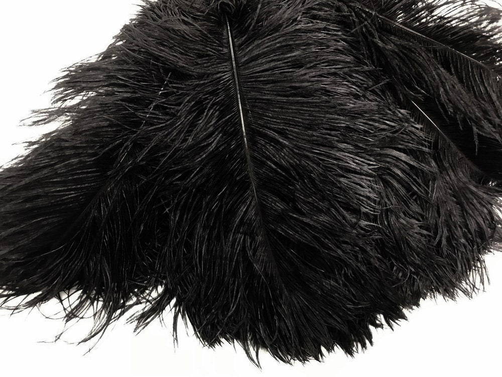 Ostrich Feathers, 10 Pieces 12-16 Black Dyed Ostrich Tail Fancy Feathers  Centerpiece Craft Supplier : 2267 