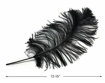 Ostrich Feathers, 10 Pieces -  12-16" Black Dyed Ostrich Tail Fancy Feathers Centerpiece Craft Supplier : 2267