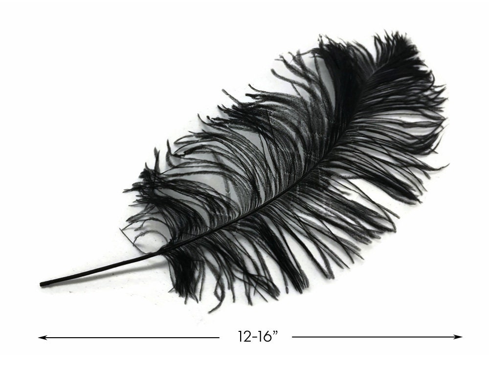 Ostrich Feathers, 10 Pieces 12-16 Black Dyed Ostrich Tail Fancy Feathers  Centerpiece Craft Supplier : 2267 