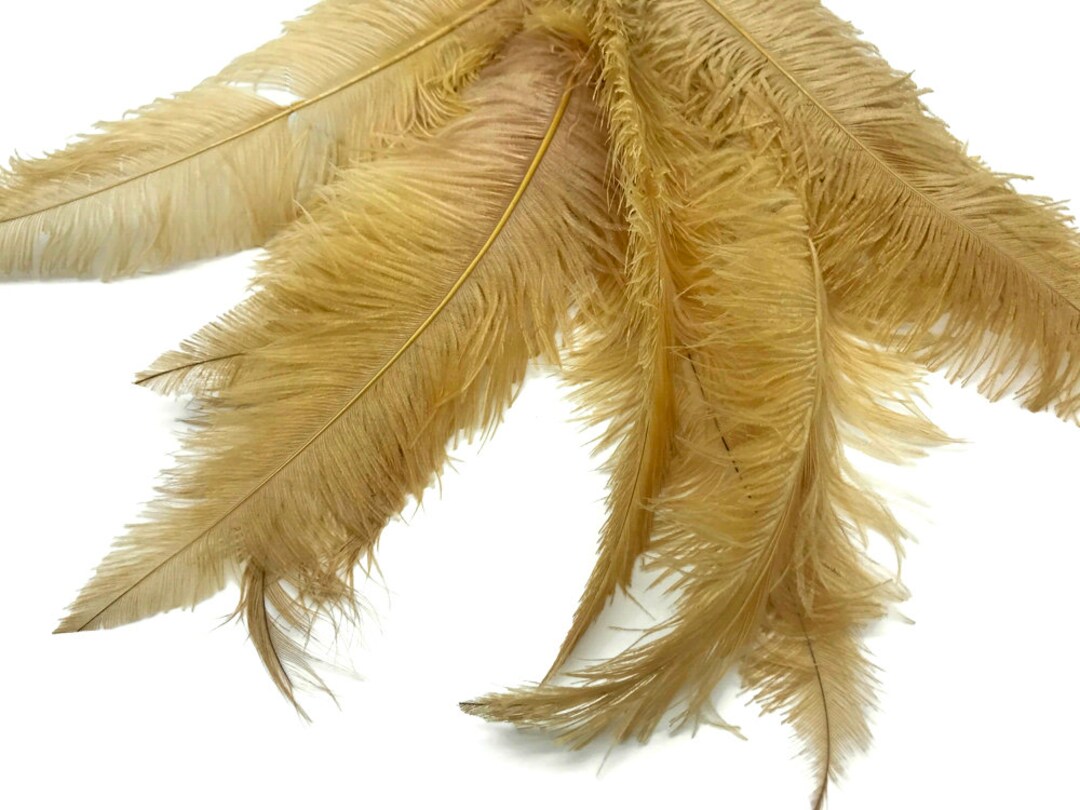White Ostrich Feather Spads Selected | Wholesale Craft Feathers