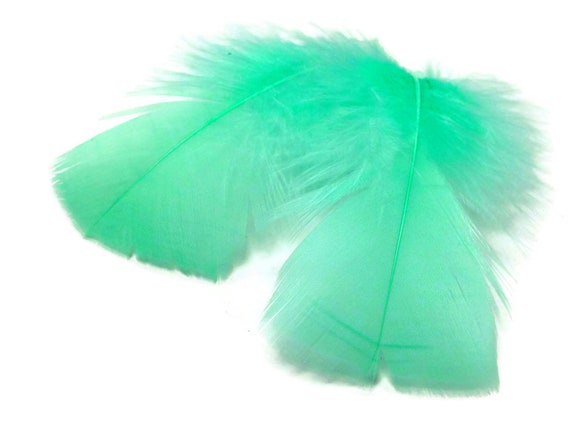 US Seller 5 Pastel Dyed Lady Amherst Pheasant Body PlumageFeathers