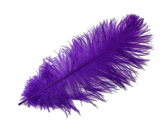 Purple Ostrich Feather - 10-12