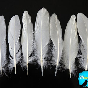 White Goose Feathers, 1/4 lb WHITE Goose Satinettes Wholesale Loose Feathers bulk : 2328 image 2