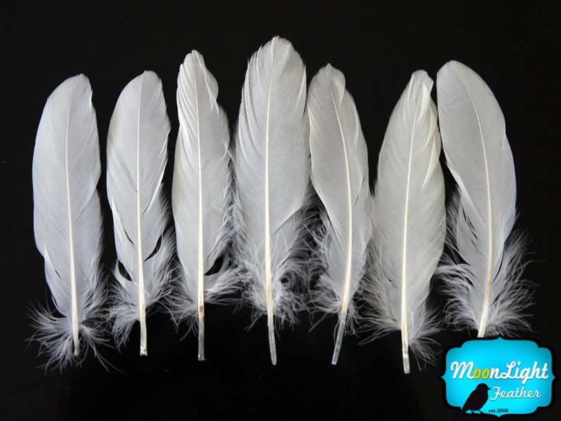 White Goose Feathers, 1/4 lb WHITE Goose Satinettes Wholesale Loose Feathers bulk : 2328 image 2