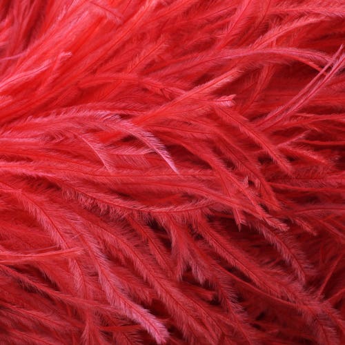 Ostrich Feathers, 100 Pieces - 11-13