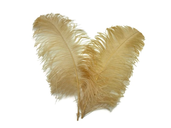 Gold Ostrich Feathers, 10 Pieces 18-24 Antique Gold Large Prime Grade  Ostrich Wing Plume Centerpiece Feathers : 5056 