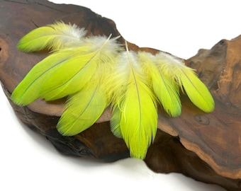 Super Rare Feathers, 4 Pieces - Lime Green Soft Plumage Feathers Ethically Sourced Naturally Molted Boho Cruelty Free : 3641-68