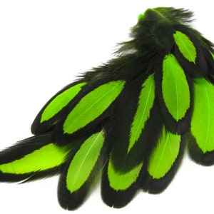 Laced Feathers, 1 Dozen Lime Green Whiting Farms Laced Hen BLW Saddle Feathers Craft Fly Tying Supply : 378 image 4