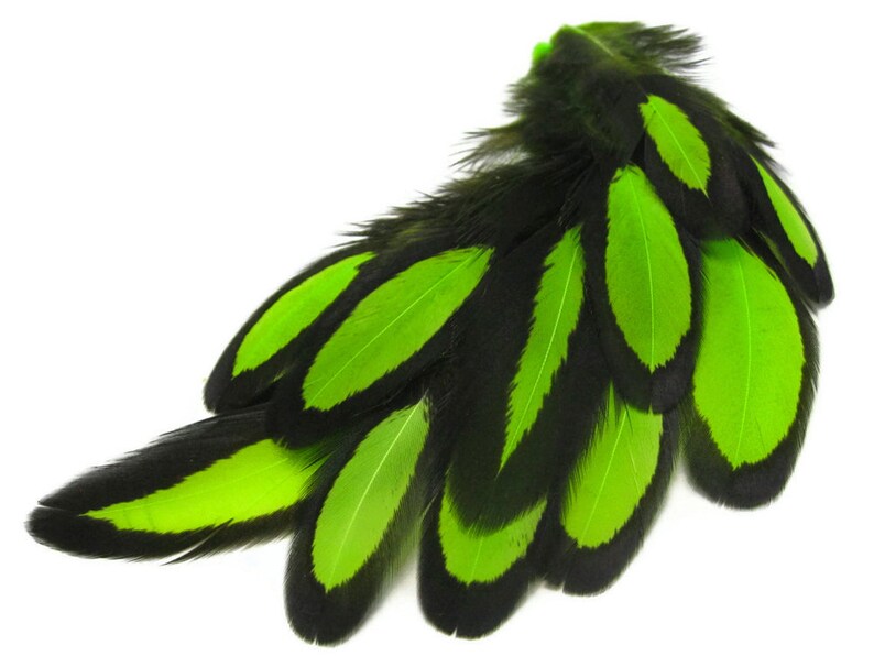 Laced Feathers, 1 Dozen Lime Green Whiting Farms Laced Hen BLW Saddle Feathers Craft Fly Tying Supply : 378 image 4