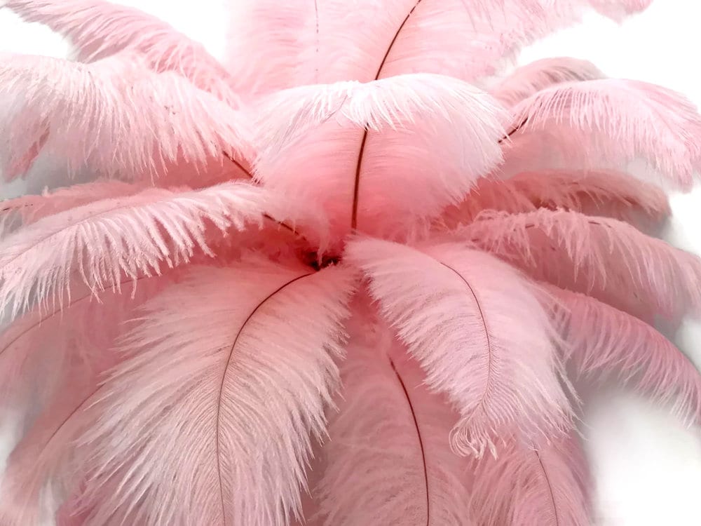 Ostrich Feathers, 1/2 Lb 14-17 Baby Pink Ostrich Large Drab
