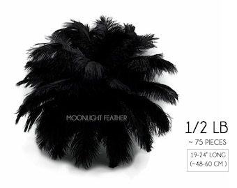 1/2 Lb. - 19-24" Black Ostrich Extra Long Drab Wholesale Feathers (Bulk) Mardi Gras Costume Centerpiece : 1483