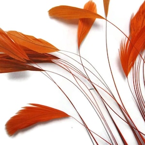 Puede incluir: Primer plano de plumas naranjas con finos tallos oscuros. Las plumas son de un tono naranja vibrante, con un tono ligeramente más oscuro en la base. Los tallos son finos y flexibles, creando una apariencia delicada y aireada. Las plumas son probablemente para manualidades o decoración.