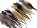 100 Pieces - Natural Tone Short Whiting Farm Rooster Hair Extension Wholesale Feathers (Bulk) Craft Supply : 3106 