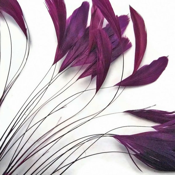 Stripped Feathers, 1 Dozen - Purple Stripped Rooster Coque Tail Feathers : 537
