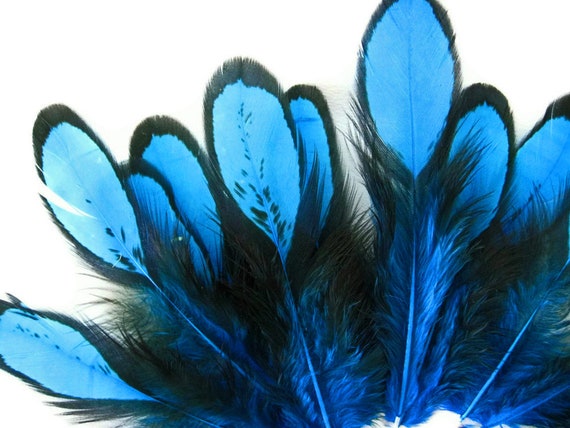 Unique Blue Feathers, 1 Dozen Turquoise Blue Whiting Farms Laced