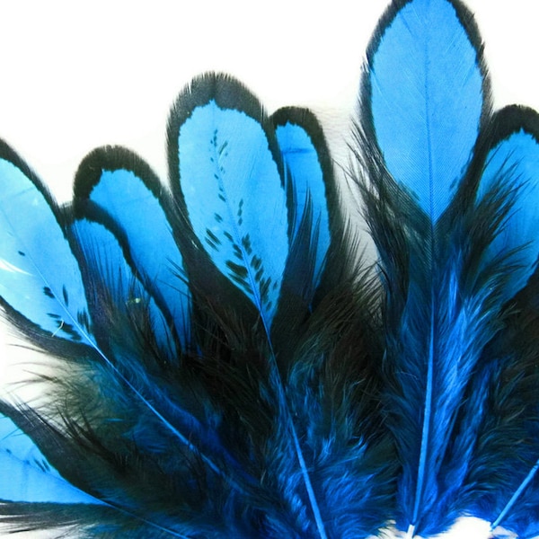 Unique Blue Feathers, 1 Dozen - Turquoise Blue Whiting Farms Laced Hen Saddle Feathers : 361