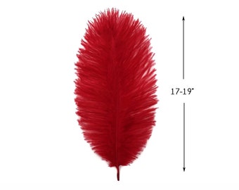 Large Ostrich Feathers, 10 Pieces - 17-19" Red Large Bleached & Dyed Ostrich Drabs Body Feathers Halloween Costume : 3316