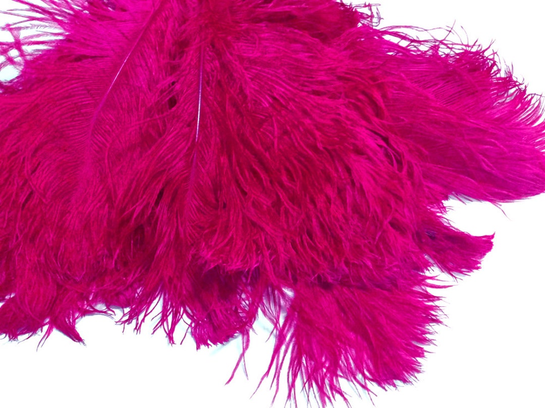 Ostrich Feathers, 10 Pieces 12-16 Black Dyed Ostrich Tail Fancy Feathers  Centerpiece Craft Supplier : 2267 