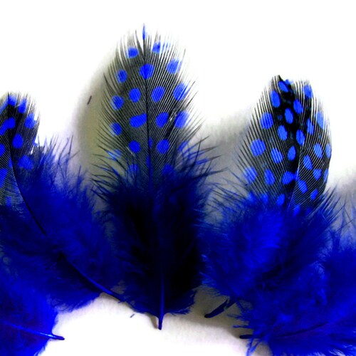 TURQUOISE 1-5" Feathers; Craft/Bridal/Halloween/Hats 100 Pcs GUINEA PLUMAGE 
