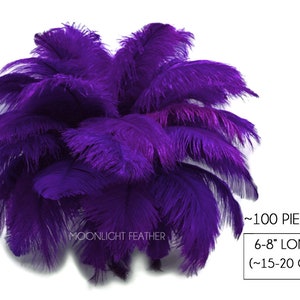 Buy Bulk Ostrich Feathers 4-8 AMETHYST Purple, Mini Ostrich Drabs