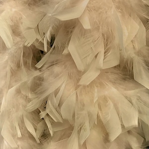 Puede incluir: Primer plano de un montón de plumas blancas. Las plumas son suaves y esponjosas, y están dispuestas en un patrón aleatorio.