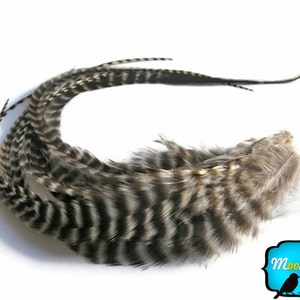 Puede incluir: Un montón de plumas rayadas en blanco y negro. Las plumas están dispuestas en forma de círculo. Las plumas son suaves y esponjosas.