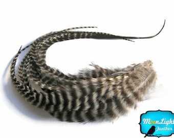 Hair Feathers, 6 Pieces - NATURAL Thick Long Grizzly Rooster Hair Extension Feathers : 364