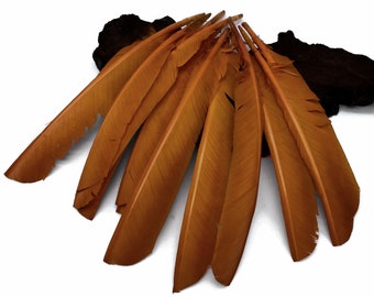 Plumas de pavo, 6 piezas - Plumas de pavo de color marrón claro, plumas grandes para disfraz de Halloween, cosplay: 4189